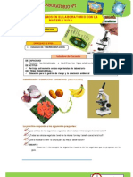 Laboratorio Biologia 1