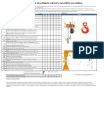 Formato de Inspeccion de Polipastos Neumaticos y Manuales