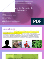 Proceso de Atencion de Enfermeria PAE