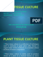 Plant Tissue Culture