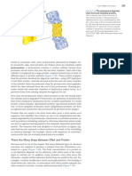 There Are Many Steps Between DNA and Protein: Figure 7-39