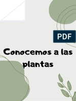 Conocemos A Las Plantas