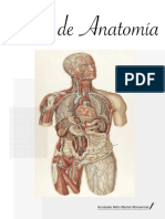 Atlas de Anatomía Humana