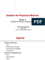 Gestion de PM S-11 Tiempo y Adquisiciones