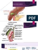 Vesicula Via Biliar