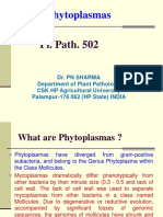 Lect. 10 PL Path 502 Phytoplasma