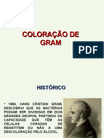 Coloração de Gram