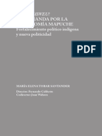 Autonimia Mapuche y Su Demanda