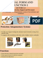 Part 1 Protection (Integumentary Systems)