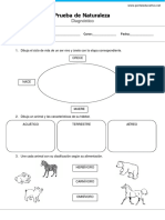 GP2Evaluacion Diagnostica