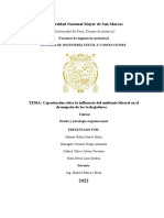 Capacitación Sobre La Influencia Del Ambiente Laboral en El Desempeño de Los Trabajadores.