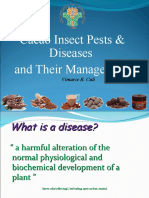 Pest and Diseases of Cacao