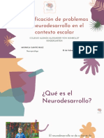 Identificación de Problemas de Neurodesarrollo en El Contexto Escolar