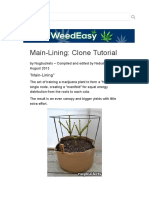 Main-Lining Tutorial - How To Use Clones - Grow Weed Easy