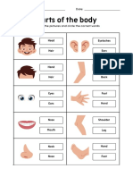 Parts of The Body in English