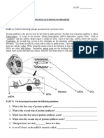 Protein Synthesis Worksheet