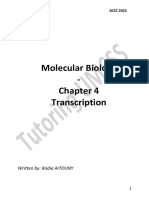 Ch4 Transcription