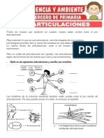 Las Articulaciones para Tercero de Primaria