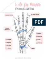 Huesos de La Mano