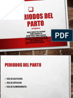 Periodos Del Parto