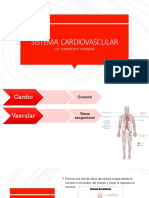 Sistema Cardiovascular 