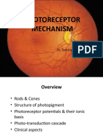 Vision Photoreceptor Mechanism