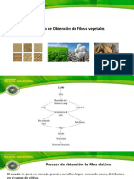 Proceso de Obtención de Fibras Vegetales