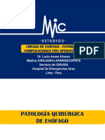 PDF CIRUGIA DE ESOFAGO Y ESTOMAGO EstudiosMyC