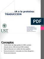 Del MRNA A La Proteína - Traducción