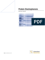 Protein Electrophoresis GE