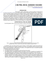 10-Sudor y Tipos de Piel