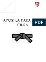 Apostila para Faixa Cinza