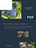 Uva Negra Criolla ORMEÑO