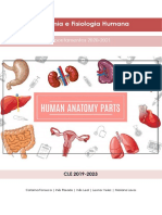 Apontamentos de Anatomia e Fisiologia Humana 2020 - COMPLETA