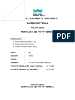 Práctica N°12 Morfología Del Fruto y Semilla