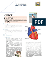 Sistema-Circulatorio para Esta Semana