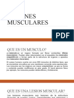 Lesiones Musculares