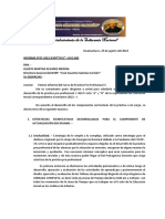 Informe Práctica Profesiional 2022-I