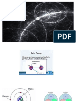 Beta Decay