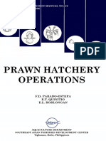 Prawn Hatchery Operation