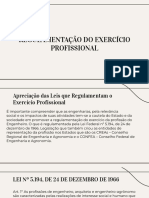 Cópia de REGULAMENTAÇÃO DO EXERCÍCIO PROFISSIONAL