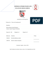 Determinación Del Calor de Combustión de Un Ácido y Una Base Fuerte Mediante Técnica Calorimétrica