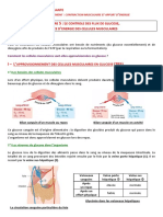 Chapitre 5 Cours Complet