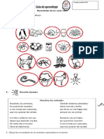 Guía #3 Poema Necesidades de Los Seres Vivos Respuesta