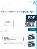 Reticuloendothelial System (RES)