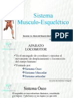 Huesos y Musculos