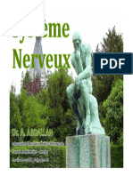 20 - Système Nerveux