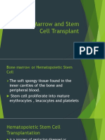 Bone Marrow and Stem Cell Transpplant