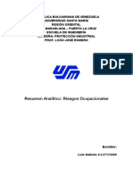 Resumen Analitico - Riesgos Ocupacionales