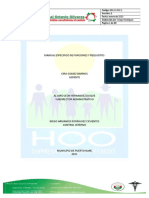 Manual de Funciones y Acto Administrativo Ese Hoo